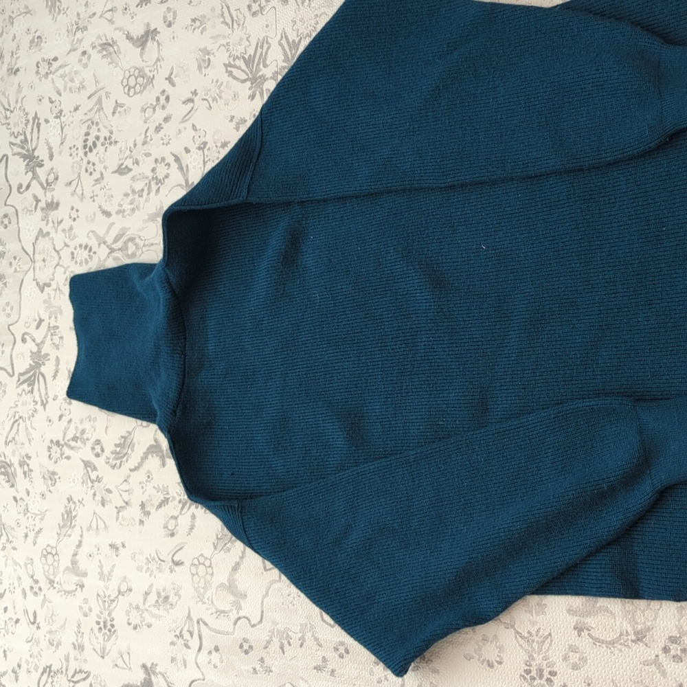 Free people turtleneck sweater